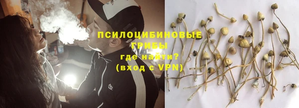 мет Ладушкин