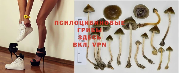 мет Ладушкин
