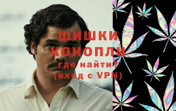 индика Киров