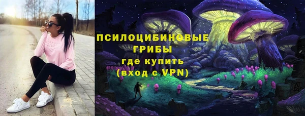 мет Ладушкин