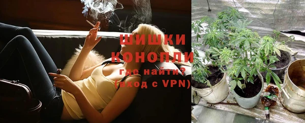 мет Ладушкин