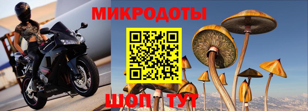 Псилоцибиновые грибы Cubensis Киров